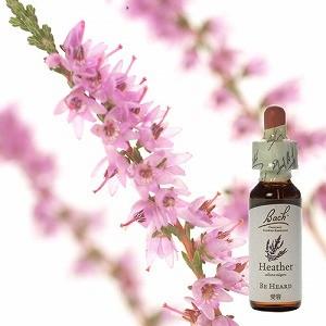 バッチフラワーレメディ 14本セット バッチフラワーレメディ14 へザー : ホノカ社 - 通販 - Yahoo!ショッピング