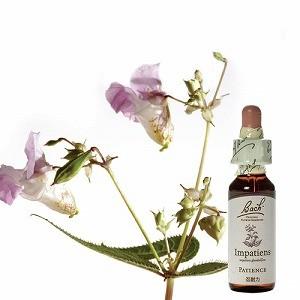 バッチフラワー キッズ レスキューレメディ 10ml アルコール