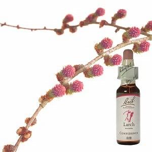 バッチ フラワー レメディ 21本セット 10ml バッチフラワーレメディ 21マスタード ノンアルコープタイプ 10ml