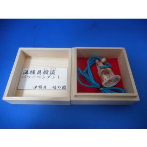 ほら貝 穂の国 - Yahoo!ショッピング