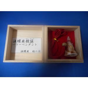 ほら貝 穂の国 - Yahoo!ショッピング