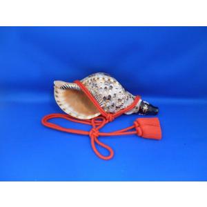 ほら貝 穂の国 - Yahoo!ショッピング