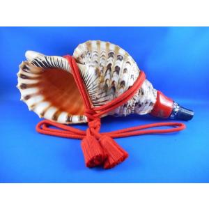 ほら貝 穂の国 - Yahoo!ショッピング