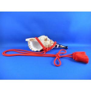 ほら貝 穂の国 - Yahoo!ショッピング