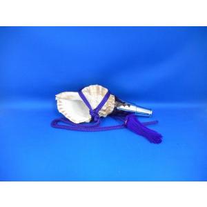 ほら貝 穂の国 - Yahoo!ショッピング