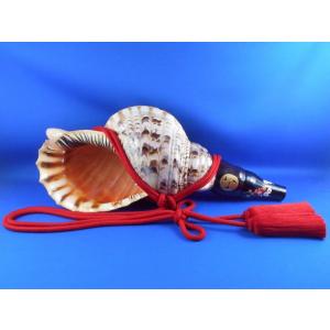 ほら貝 穂の国 - Yahoo!ショッピング