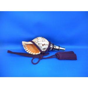 ほら貝 穂の国 - Yahoo!ショッピング