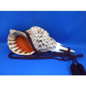 ほら貝 穂の国 - Yahoo!ショッピング