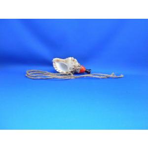 ほら貝 穂の国 - Yahoo!ショッピング