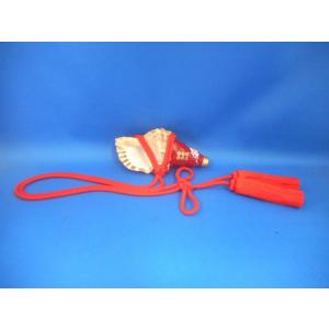 ほら貝 ミニの商品一覧 通販 Yahoo ショッピング