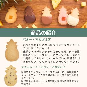 【公式】パイナップル・ラップ・ボックス(M)【...の詳細画像3