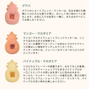 【公式】パイナップル・ラップ・ボックス(M)【...の詳細画像4