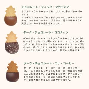 【公式】パイナップル・ラップ・ボックス(M)【...の詳細画像5