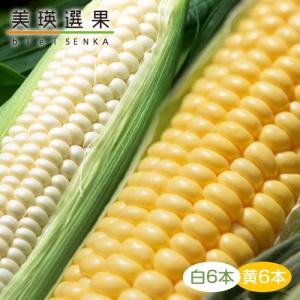 【予約】北海道 JAびえい 美瑛選果 美瑛のとう...の商品画像