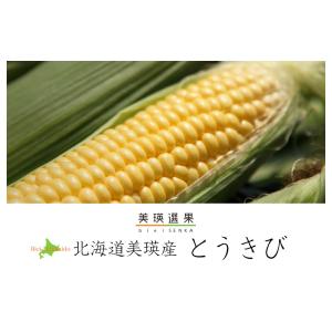 【予約】北海道 JAびえい 美瑛選果 美瑛のと...の詳細画像1