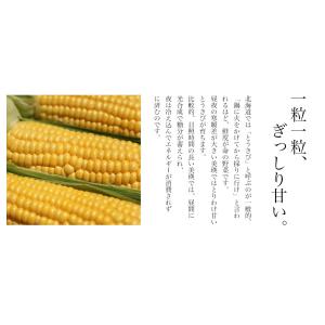 【予約】北海道 JAびえい 美瑛選果 美瑛のと...の詳細画像2