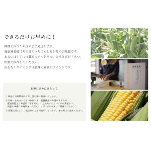 【予約】北海道 JAびえい 美瑛選果 美瑛のと...の詳細画像4