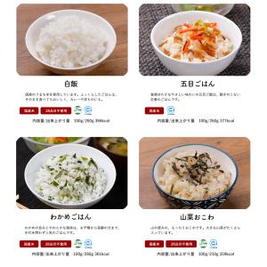 非常食 保存食 アルファ米 非常食セット防災食...の詳細画像3