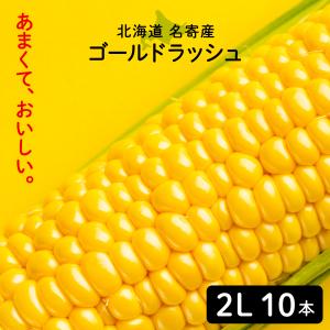 北海道 名寄産 スイートコーン ギフト ゴールドラッシュ2L 10本入り 秀品 クール便 8月中旬から出荷予定 北海道産 とうきび とうもろこし