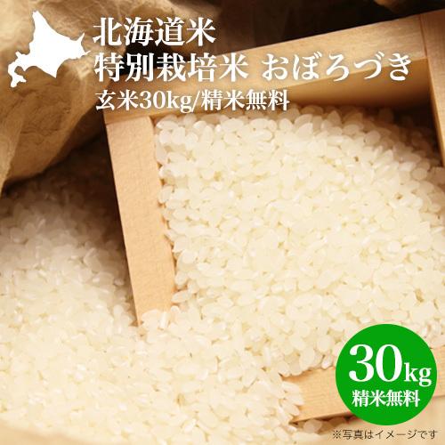 白米 送料無料 玄米 30kg お米 30kg 米 30kg 新米 令和5年 北海道米 特別栽培米 ...