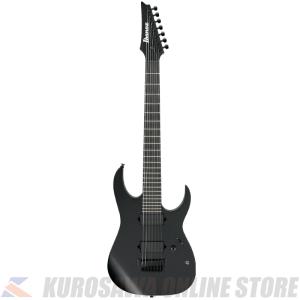 Ibanez（アイバニーズ） Ibanez RG Series RG421EX-BKF (Black Flat
