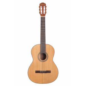 KALA KA-GTR-NY25 CEDAR TOP MAHOGANY NYLON STRING CLASSICAL GUITAR (クラシックギター)｜honten