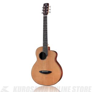 aNueNue Bird Guitar aNN-M10E エレアコ 000000039031_1_vlFg4SI.jpg