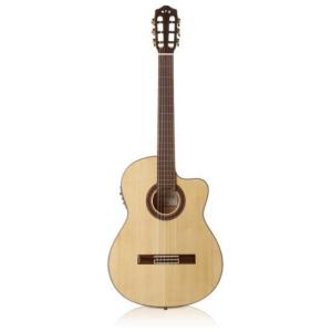 Great Lake Deluxe F-103 Acoustic Guitar アコースティックギター