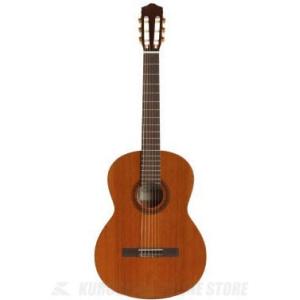 Morris モーリス/クラシックギター/G-80/Bランク/25【中古