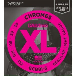 D'Addario XL CHROMES (FLAT WOUND) ECB81-5 5-String/Long ダダリオ (ベース弦) (ネコポス)｜honten