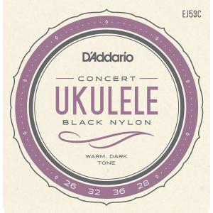 D'Addario PRO-ARTE RECTIFIED BLACK NYLON EJ53C Pro-Arte Rectified