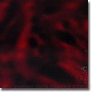 Montreux Selected Parts/セルロイド板 300x450(mm) べっ甲１P1....