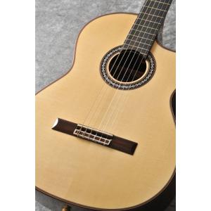 Takamine Takamine T-F2TBS Acoustic Guitar アコースティックギター