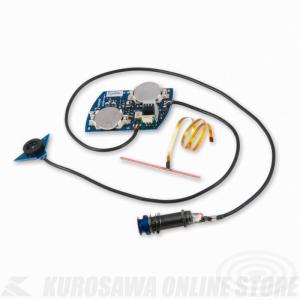 EVA PHC-VIC30V Sound Stabilizer Variable Impedance Control 30V駆動