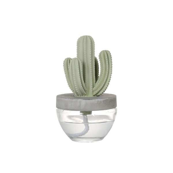 CACTUS FRAGRANCE DIFFUSER B O.BREEZE カクタス フレグランス デ...