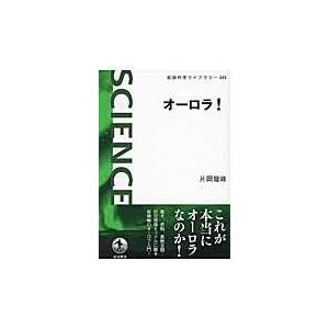 翌日発送・オーロラ！/片岡龍峰