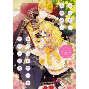 ある日、お姫様になってしまった件について 1巻〜13巻 完結 全巻セット