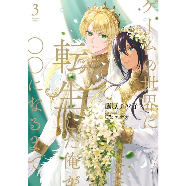 翌日発送・ゲームの世界に転生した俺が○○になるまで ３/藤原チワ子