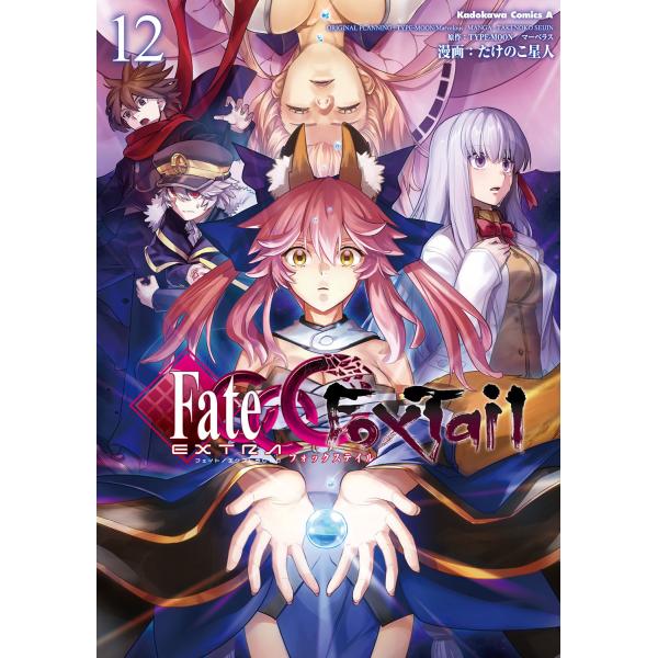 翌日発送・フェイト／エクストラＣＣＣ　ＦｏｘＴａｉｌ １２/たけのこ星人