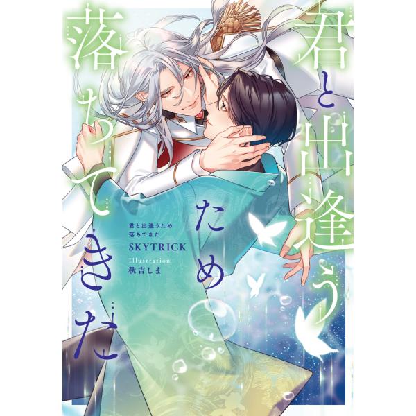 君と出逢うため落ちてきた/ＳＫＹＴＲＩＣＫ