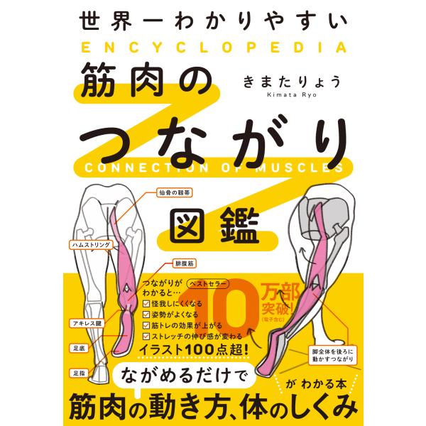 翌日発送・世界一わかりやすい筋肉のつながり図鑑/きまたりょう