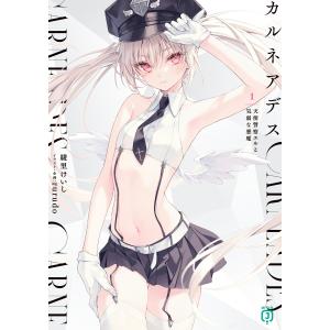翌日発送・カルネアデス １/綾里けいし