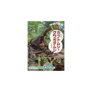 カブトムシ・クワガタムシ/岡島秀治