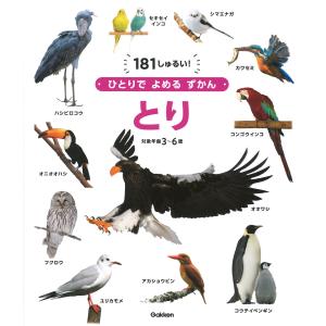 翌日発送・とり/瀧靖之