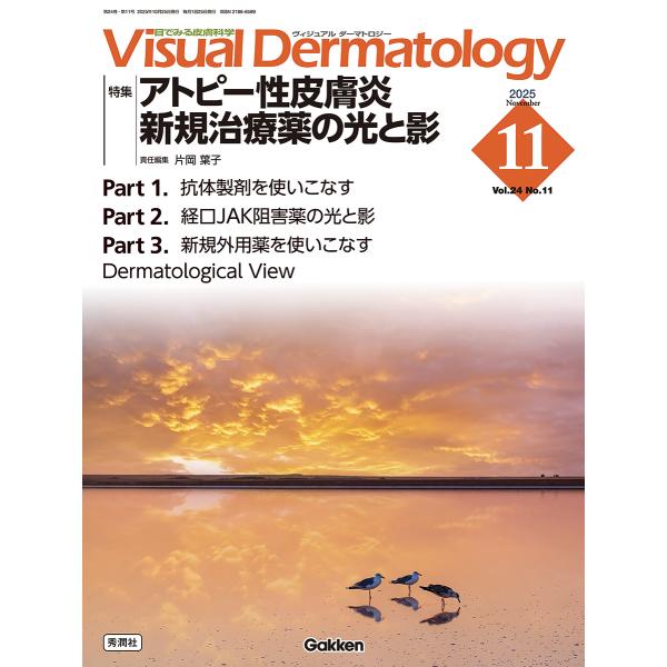 翌日発送・Ｖｉｓｕａｌ　Ｄｅｒｍａｔｏｌｏｇｙ ２０２５年１１月号　Ｖｏｌ．２/片岡葉子