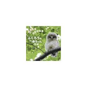 翌日発送・もふもふもふもふ〜ふくろうの赤ちゃん/大橋弘一