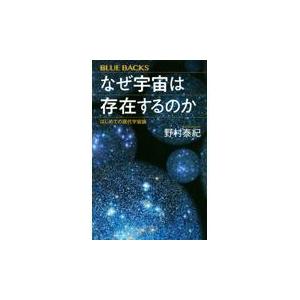 なぜ宇宙は存在するのか/野村泰紀