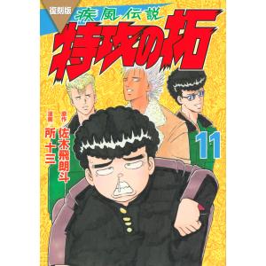 送料無料 ワイド版 疾風伝説 特攻の拓 全14巻 所十三 ヤンキー漫画