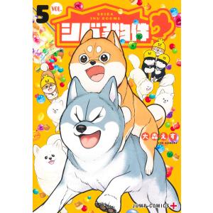 駿台/Z会 京都大学 第1回 京大入試実戦模試 2024年8月施行 英語/数学