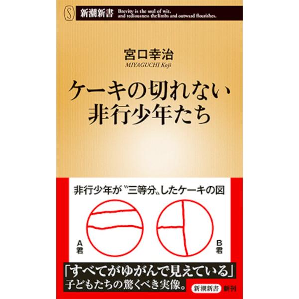 ケーキの切れない非行少年たち/宮口幸治